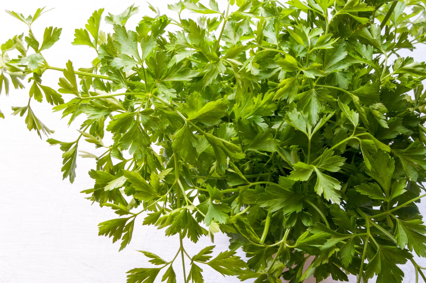 Blue cheese pâté • Delicious from scratch