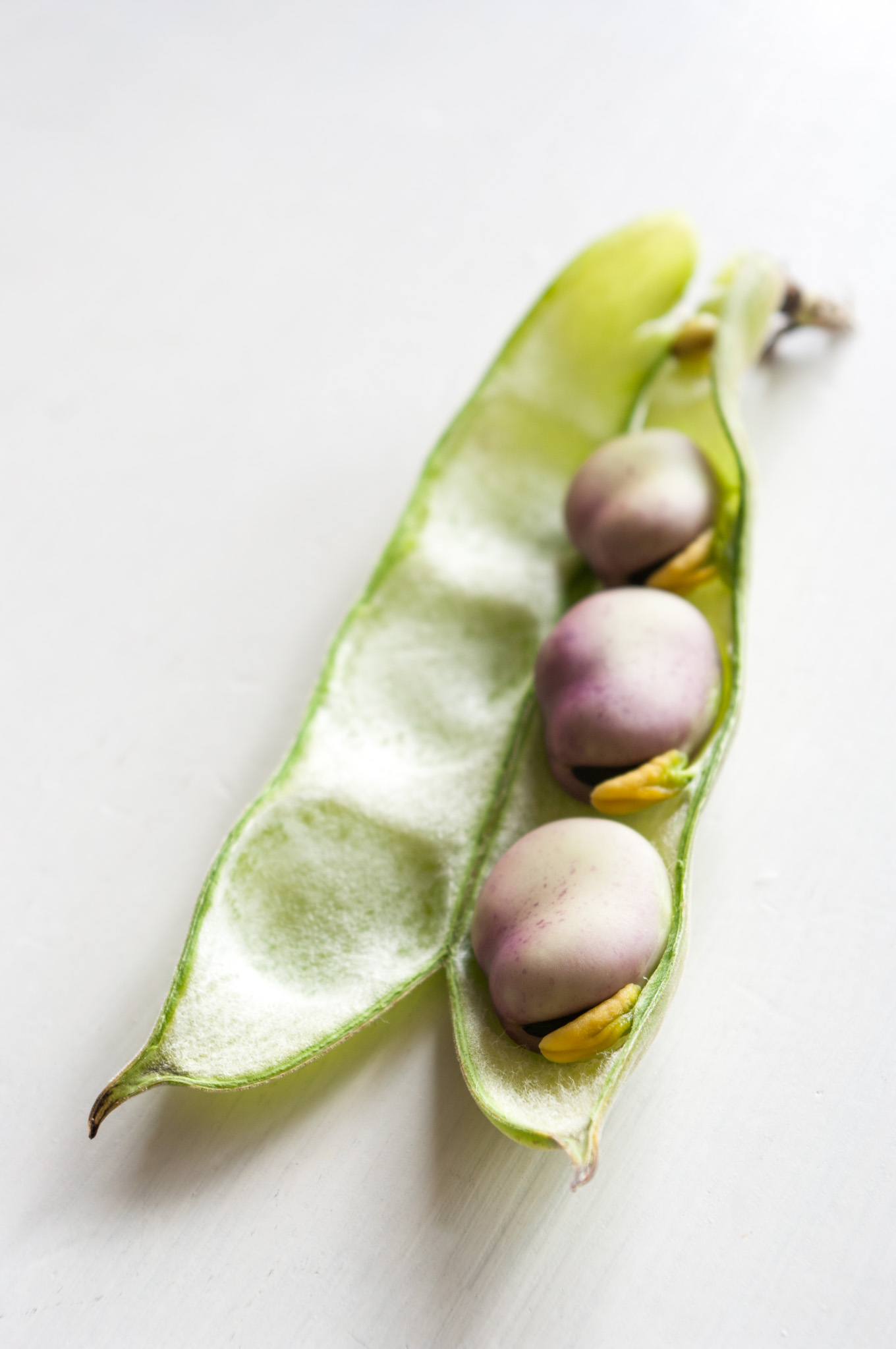 Healthy risotto with spring vegetables • Delicious from scratch