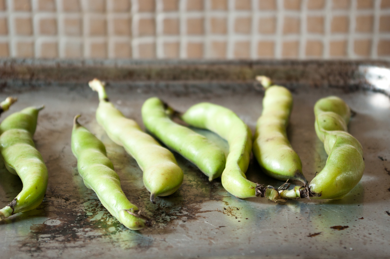 Healthy risotto with spring vegetables • Delicious from scratch