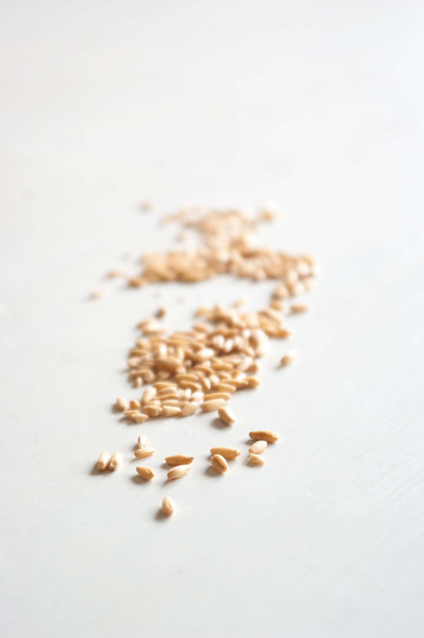 Healthy risotto with spring vegetables • Delicious from scratch