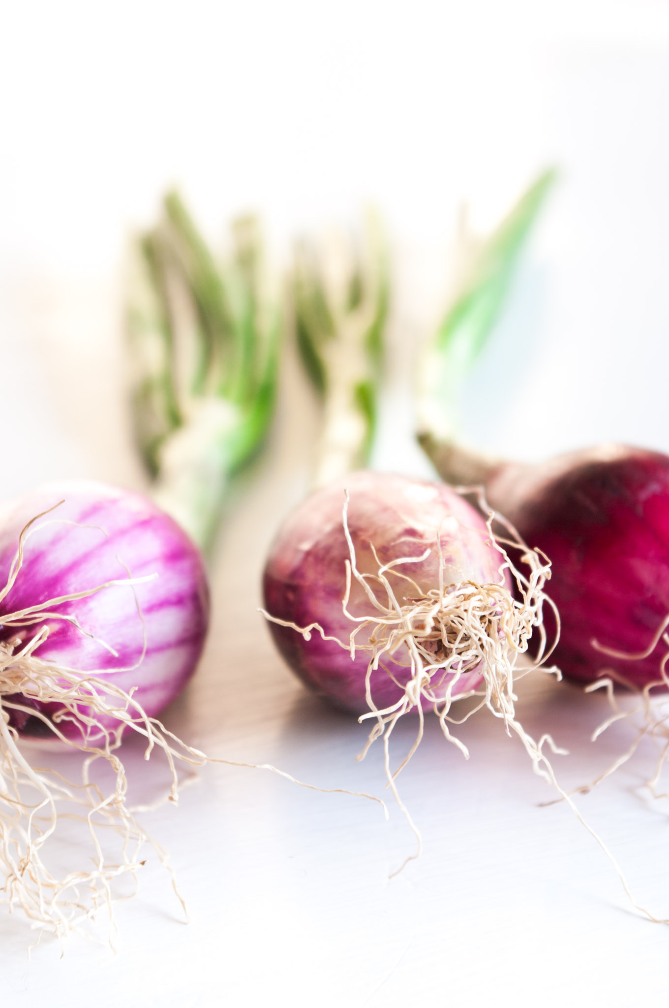 vegetable-stock-paste-delicious-from-scratch