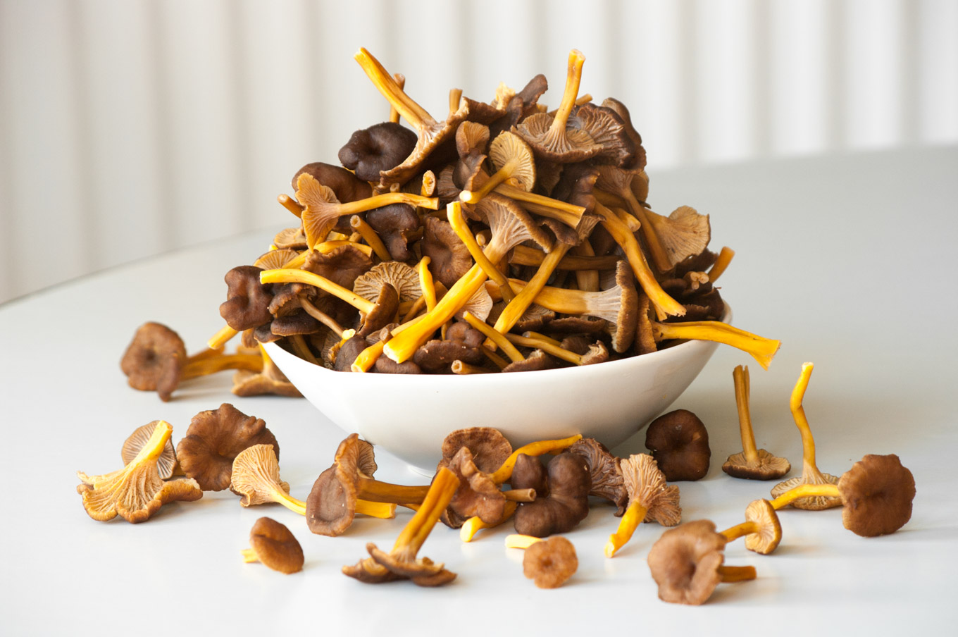 Hunting wild mushrooms • Delicious from scratch