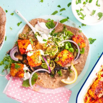 11 Best Halloumi Recipes – see this versatile cheese in a whole new light with these vegetarian halloumi recipes. From How to Cook Halloumi cookbook by Nancy Anne Harbord.