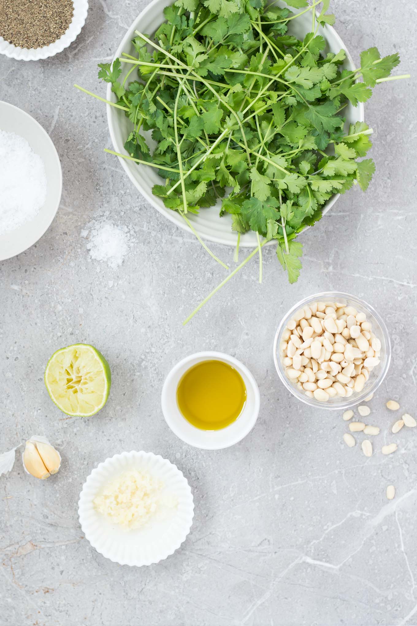 Coriander pesto • Delicious from scratch