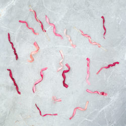 A simple, strikingly beautiful rhubarb garnish for cakes, desserts and cocktails. Just soak strips of rhubarb in sugar syrup and dry out in the oven.